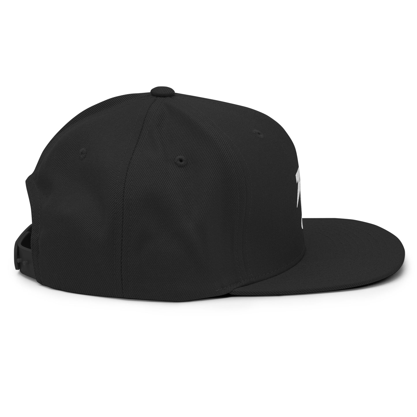 WILL GATES SNAPBACK